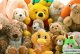 10 cleaning methods for plush toys